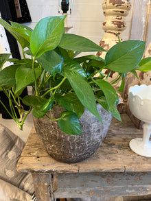  Carved Stone Pots