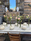 Oct. 24 Floral Pumpkin DIY Workshop Event