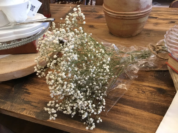 Dried Baby's-breath Bunch